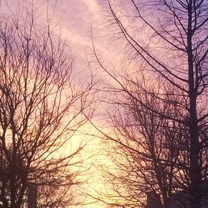 Meet your Posher, Federico